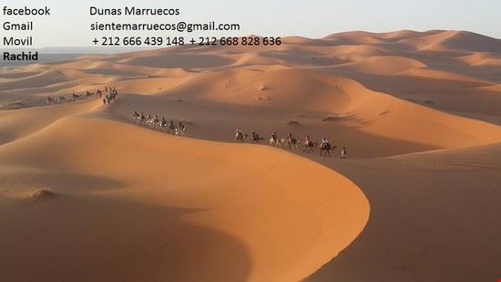 deserto di Merzouga deserto di Merzouga  