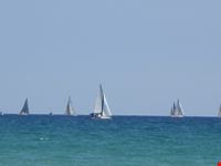  playa de la devesa