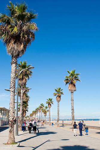  playa de patacona