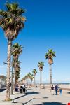  playa de patacona