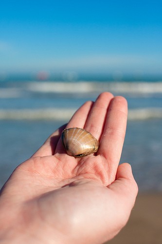  playa de malvarossa