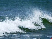  playa el saler