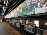 Stalle nel Museo Heineken