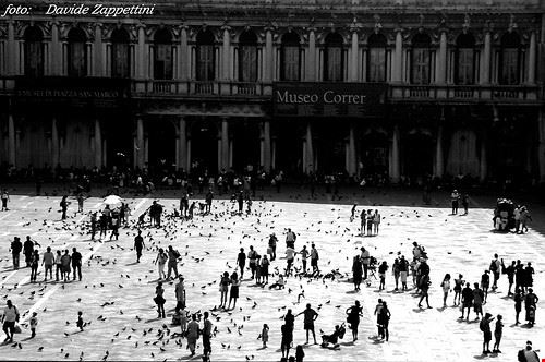 Museo Correr - Davide Zappettini - Davide Zappettini - Attribution License (http://creativecommons.org/licenses/by/2.0/)