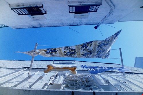  Ostuni margiottadaniel - Attribution-NonCommercial-ShareAlike (http://creativecommons.org/licenses/by-nc-sa/2.0/) margiottadaniel