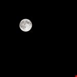 Luna piena