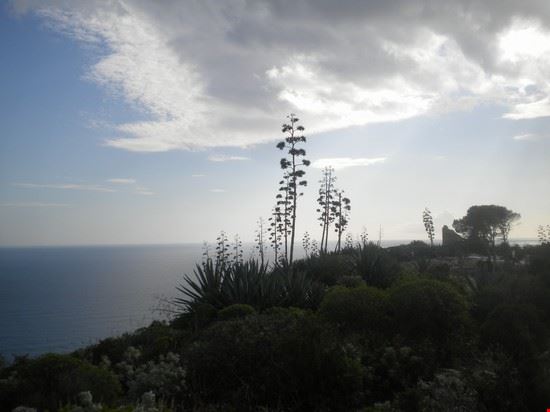  Cagliari  