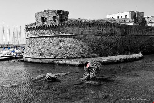 Castello angioino Gallipoli Guglielmo D'Arezzo - Attribution-NonCommercial-NoDerivs (http://creativecommons.org/licenses/by-nc-nd/2.0/) Guglielmo D'Arezzo