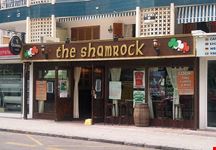  shamrock inn