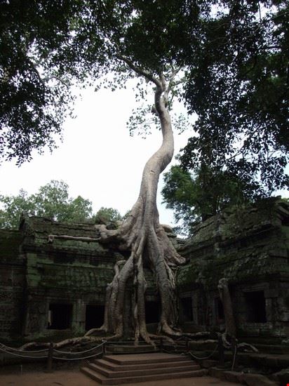  Ta Prohm  