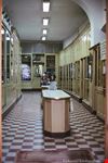  cappelleria trentini