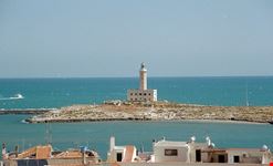  faro