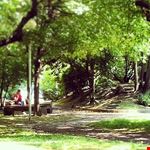  giardini regina margherita