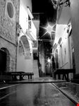  corso fazzini