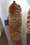  museo africano