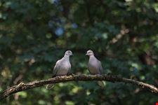  parco natura viva
