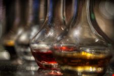  bar tender