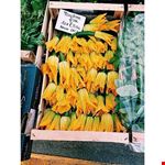  markets