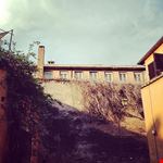  la movida di santa maria in trastevere