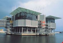 acquario di lisbona