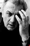 museo federico fellini