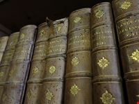  biblioteca gambalunghiana