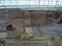  domus del chirurgo