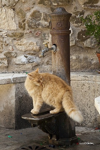  borghi vicini