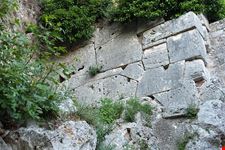  via clodia