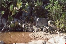  riserva wwf di capoterra
