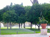 Giardino degli aranci