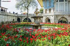  palazzo di dolmabahce