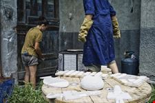  amendola cosma ceramiche il ninfeo