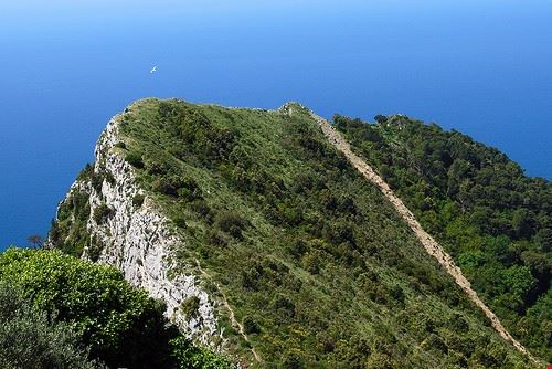 Monte Solaro - HBarrison - HBarrison - Attribution-ShareAlike License (http://creativecommons.org/licenses/by-sa/2.0/)