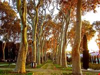  parco guelhane