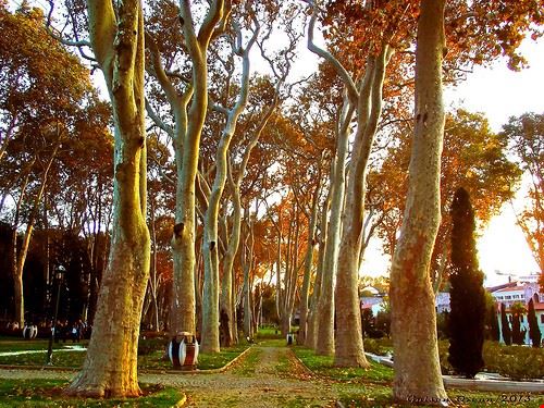 Parco Gülhane Istanbul G.OZCAN - Attribution-ShareAlike License (http://creativecommons.org/licenses/by-sa/2.0/) G.OZCAN