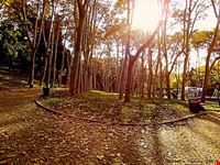  parco guelhane