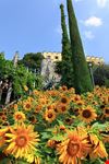  trauttmansdorff i giardini di castel touriseum