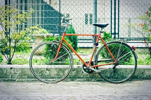 pista ciclabile - picale - picale - Attribution-NonCommercial-ShareAlike (http://creativecommons.org/licenses/by-nc-sa/2.0/)