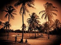  beach paradise