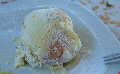  delizie al limone