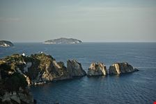  palmarola e zannone