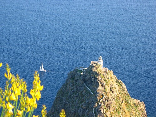  punta della guardia