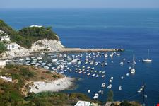  cala feola