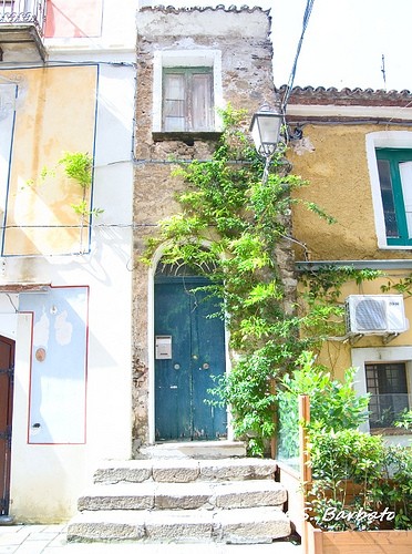  pollica