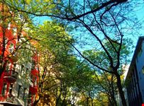  kurfurstendamm mitte e kebab a kreuzberg