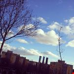  sol y sombra