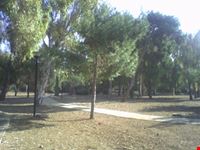 Pineta di San Francesco