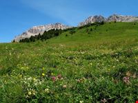  passo di costalunga