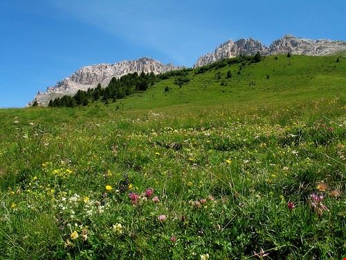Passo di Costalunga - gengish - gengish - Attribution-NonCommercial-NoDerivs (http://creativecommons.org/licenses/by-nc-nd/2.0/)